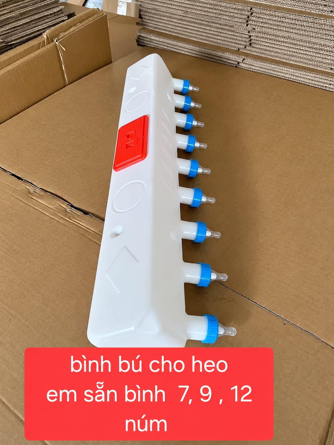 Bình bú heo con 7 / 9 / 12 núm